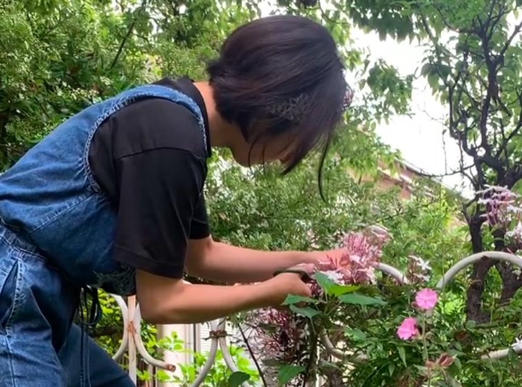 ジャスミン切ってる